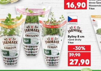 Kaufland Bylinky 8 cm nabídka