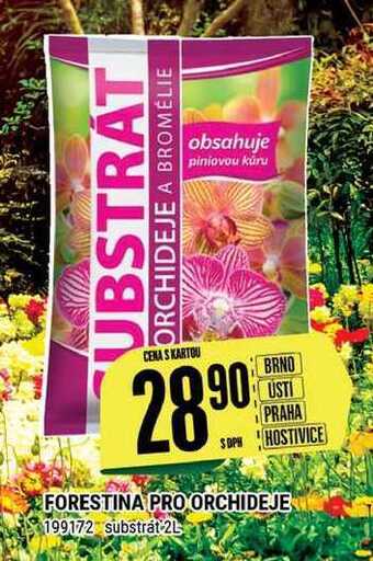 Tamda Foods Forestina pro orchideje 199172 substrát 2l nabídka