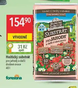 Globus Hoštický substrát nabídka