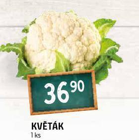 Terno Květák nabídka