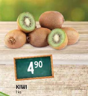 Terno Kiwi nabídka