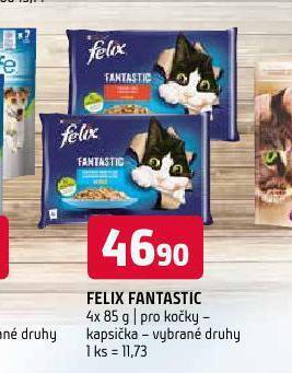 Terno Felix fantastic kapsičky pro kočky nabídka