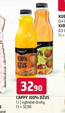 Terno Cappy 100% džus nabídka