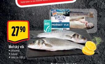 Albert Mořský vlk nabídka