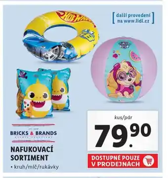 Lidl Nafukovací sortiment nabídka