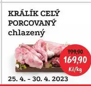 RABBIT řeznictví Rabbit králík celý bez hlavy nabídka