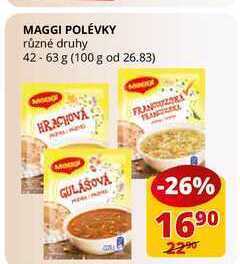 Flop Maggi polévky různé druhy 42-63 g nabídka