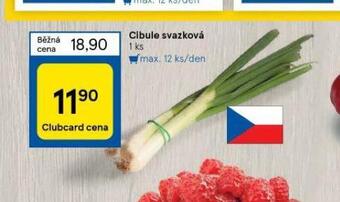 Tesco Cibule svazková nabídka