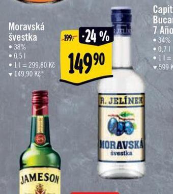 Albert Moravská švestka nabídka