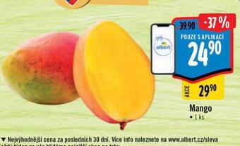 Albert Mango nabídka