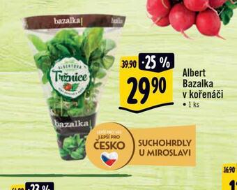 Albert Bazalka v kořenáči nabídka