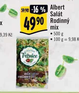 Albert Albert salát rodinný mix 500 g nabídka