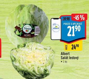 Albert Albert salát ledový • 1 ks nabídka