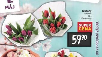 Billa Tulipány nabídka