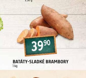 Terno Batáty sladké brambory nabídka