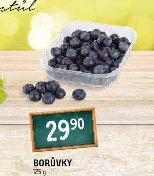Terno Borůvky nabídka