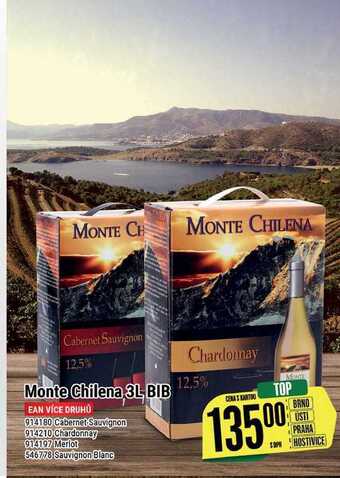 Tamda Foods Monte chilena 3l bib nabídka