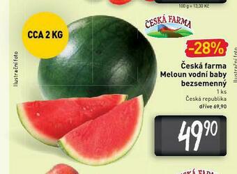 Billa Meloun vodní baby nabídka