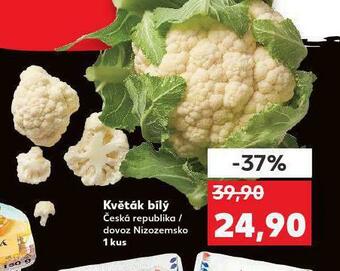 Kaufland Květák bílý nabídka