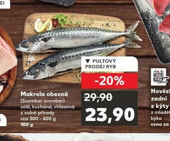 Kaufland Makrela obecná nabídka