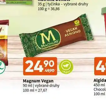 Terno Magnum vegan zmrzlina nabídka