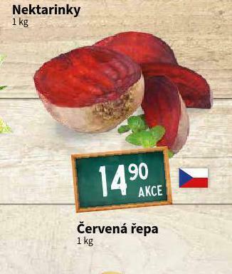 Terno Červená řepa nabídka