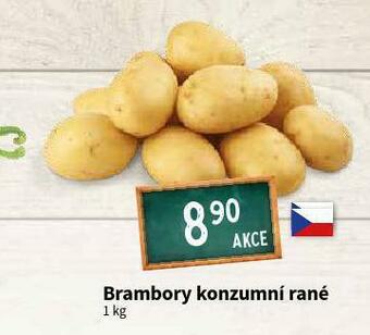 Terno Brambory konzumní rané nabídka