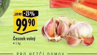 Albert Česnek volný nabídka