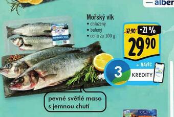 Albert Mořský vlk nabídka