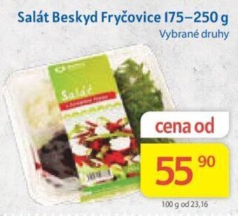 Kubík potraviny Salát Beskyd Fryčovice 175-250 g nabídka