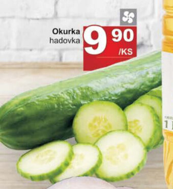 Jip Okurka hadovka nabídka
