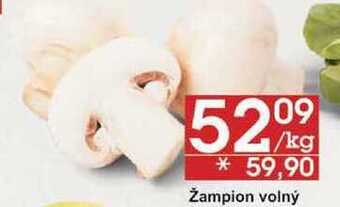 Jip Žampion volný, 1 kg nabídka