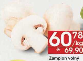 Jip Žampion volný, 1 kg nabídka
