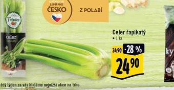 Albert Celer řapíkatý nabídka