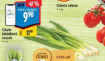 Albert Cibule lahůdková svazek nabídka