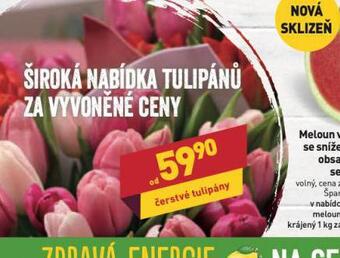 Billa Tulipány nabídka