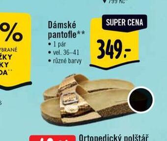 Albert Dámské pantofle nabídka
