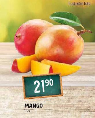 Terno Mango nabídka