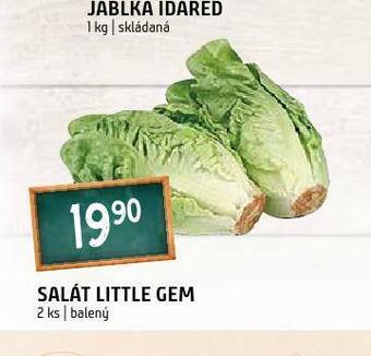Terno Salát little gem nabídka