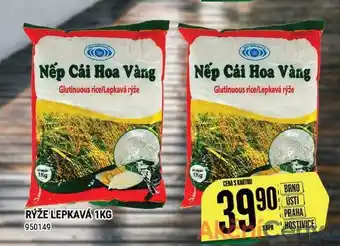 Tamda Foods Rýže lepkavá 1kg nabídka
