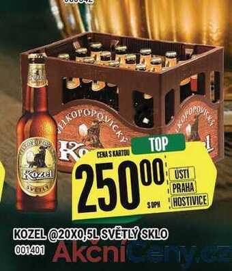 Tamda Foods Kozel @20x0,5l světlý sklo nabídka