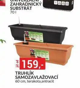 Baumax Truhlík samozavlažovací nabídka