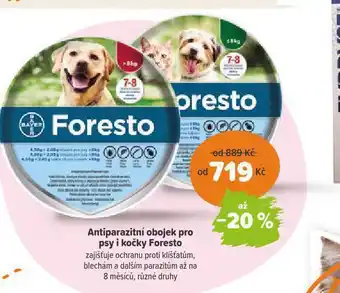 Pet Center Antiparazitní obojek pro kočky foresto nabídka