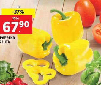 Lidl Paprika žlutá nabídka