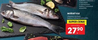 Lidl Mořský vlk nabídka