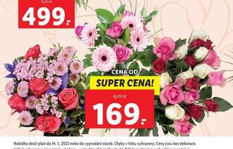 Lidl Kytice nabídka