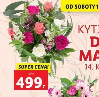 Lidl Kytice nabídka