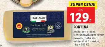 Lidl Fontina zrající sýr, 250 g nabídka