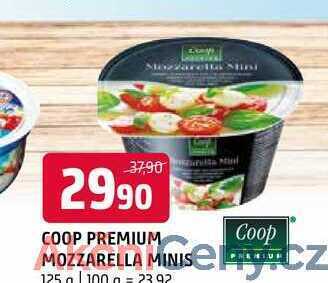 Terno Coop premium mozzarella minis 125 g nabídka