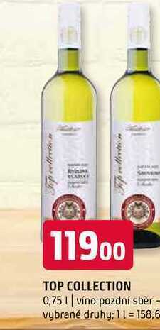 Terno Top collection 0,75 l nabídka